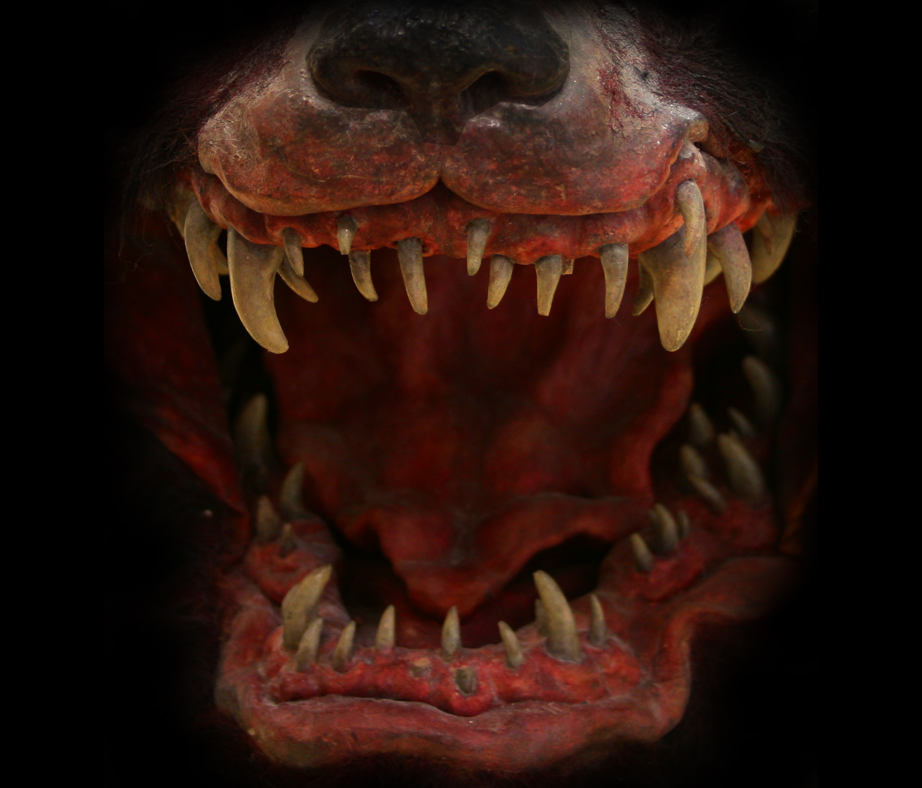 SFX, effets spéciaux, pieds, mains, cadavres, animaux factice, chiens, chats, accessoires, décors, animaux fantastiques, fillm, cinéma, théatre