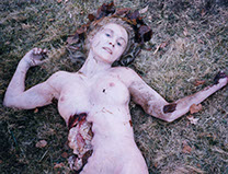 cadavre,tete coupee, decapitation, membres, mains, pieds, sang, hemoglobine, corps, morts, zombi, vampire 